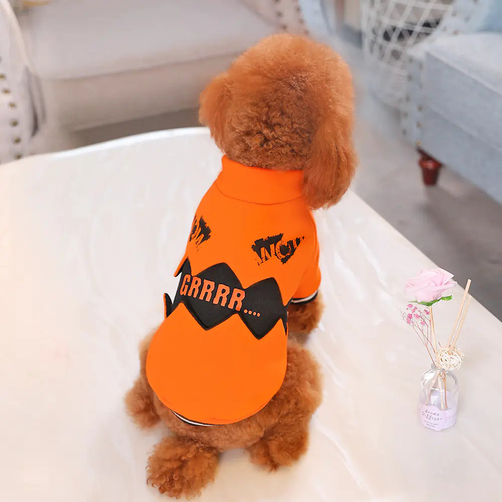 HOOPET Halloween Pumpkin Hoodie for Small Dogs