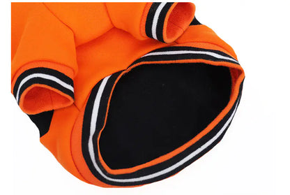 HOOPET Halloween Pumpkin Hoodie for Small Dogs