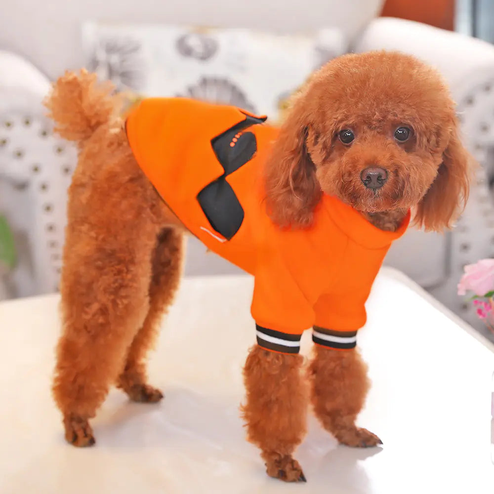 HOOPET Halloween Pumpkin Hoodie for Small Dogs